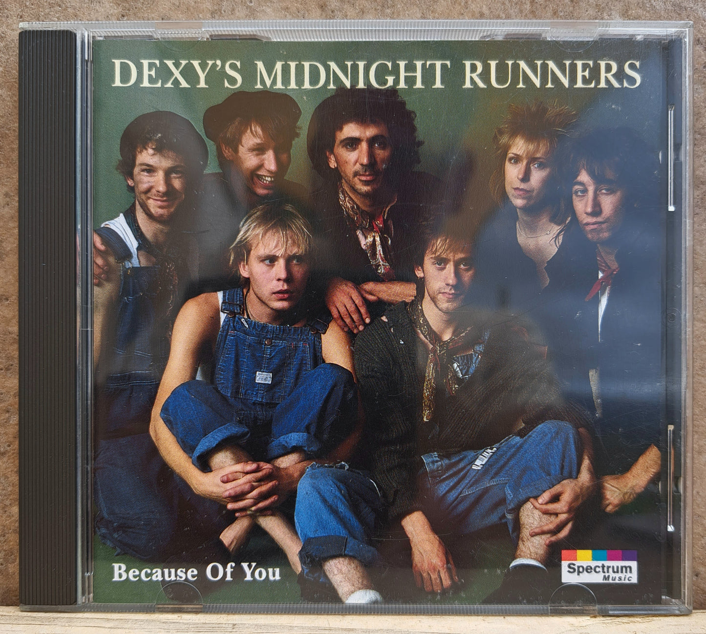 Dexy's Midnight Runners - Because of you (cd)