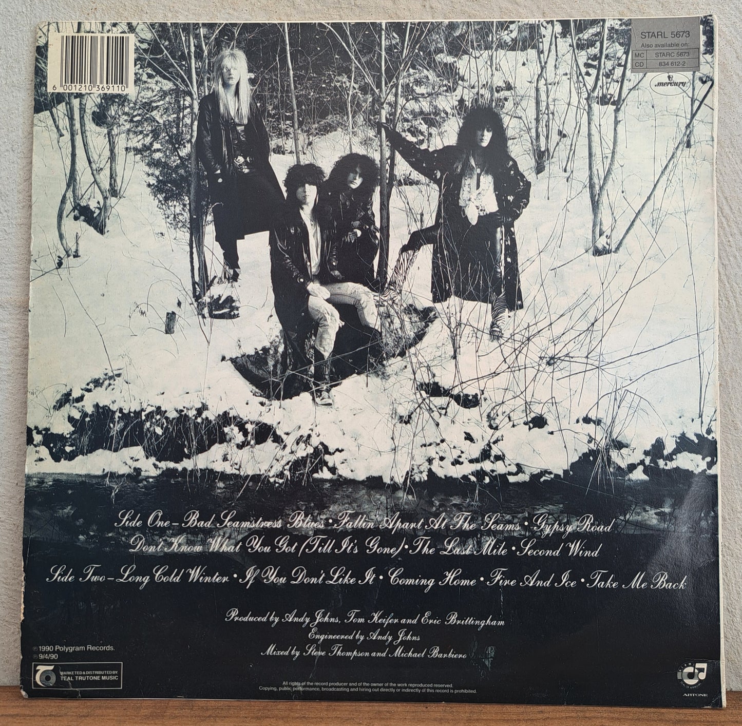 Cinderella - Long cold winter