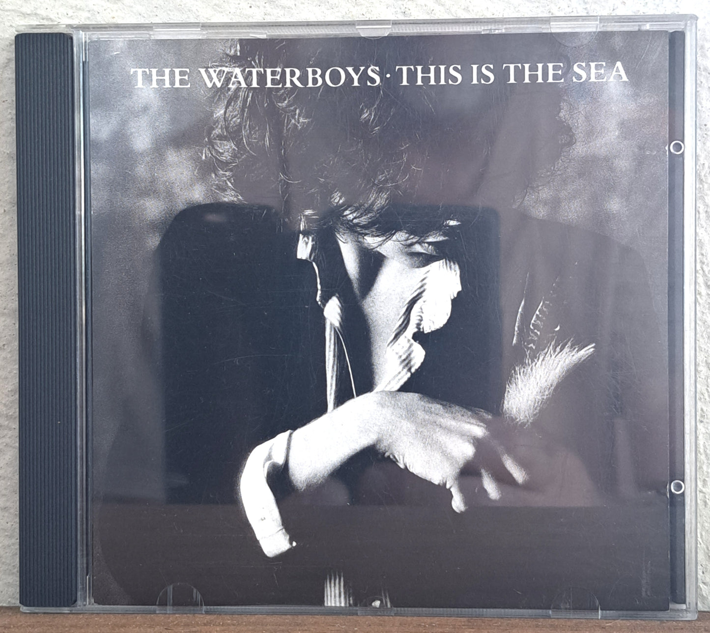 The Waterboys - This is the sea (cd)