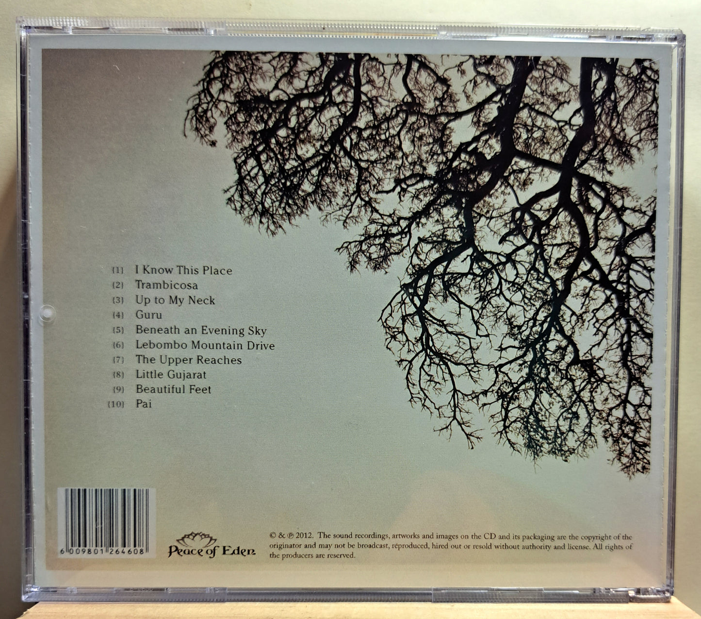 Nibs van der Spuy & Guy Buttery - In the shade of the wild fig (cd)
