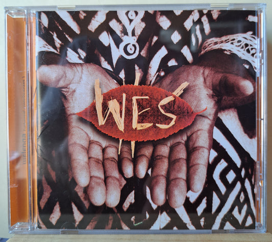 Wes Welenga - Universal consciousness (cd)