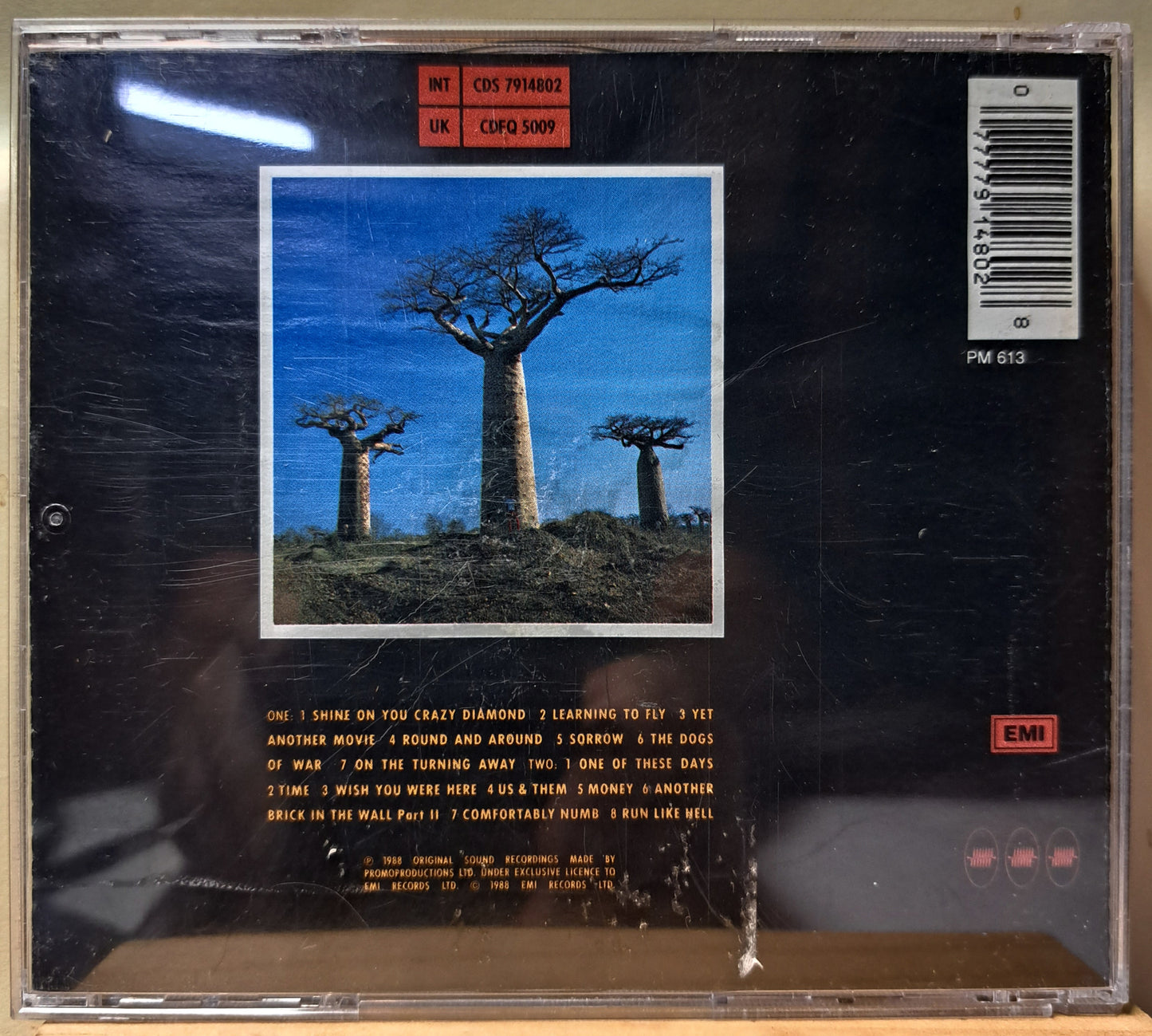 Pink Floyd - Delicate sound of thunder (double cd)