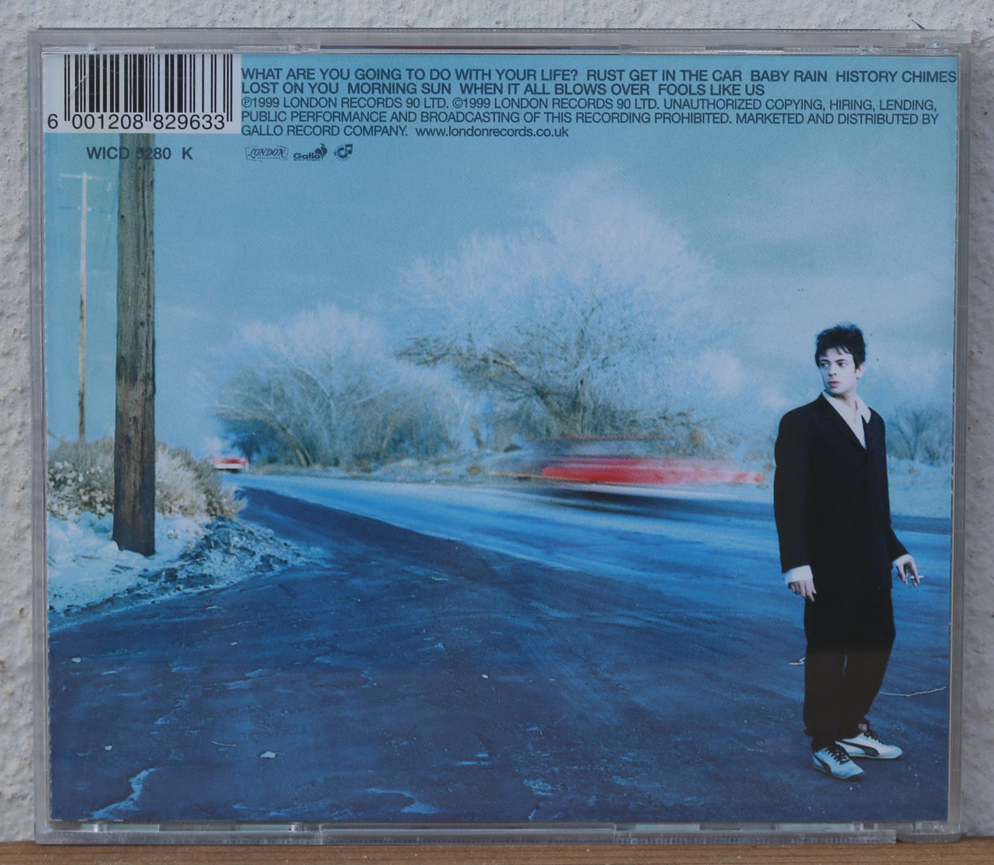 Echo & The Bunnymen - What are you going to do with your life?