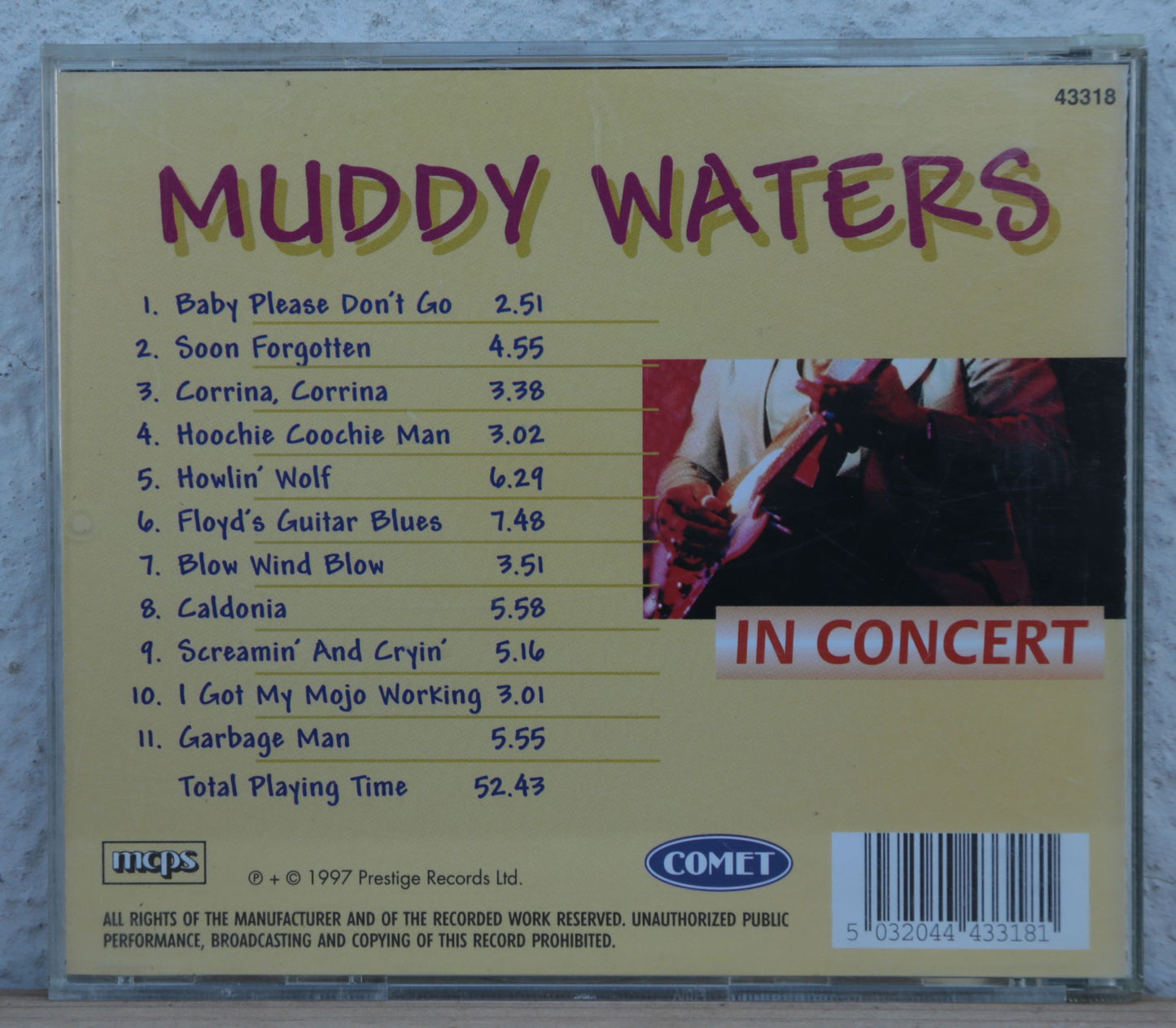 Muddy Waters - in concert
