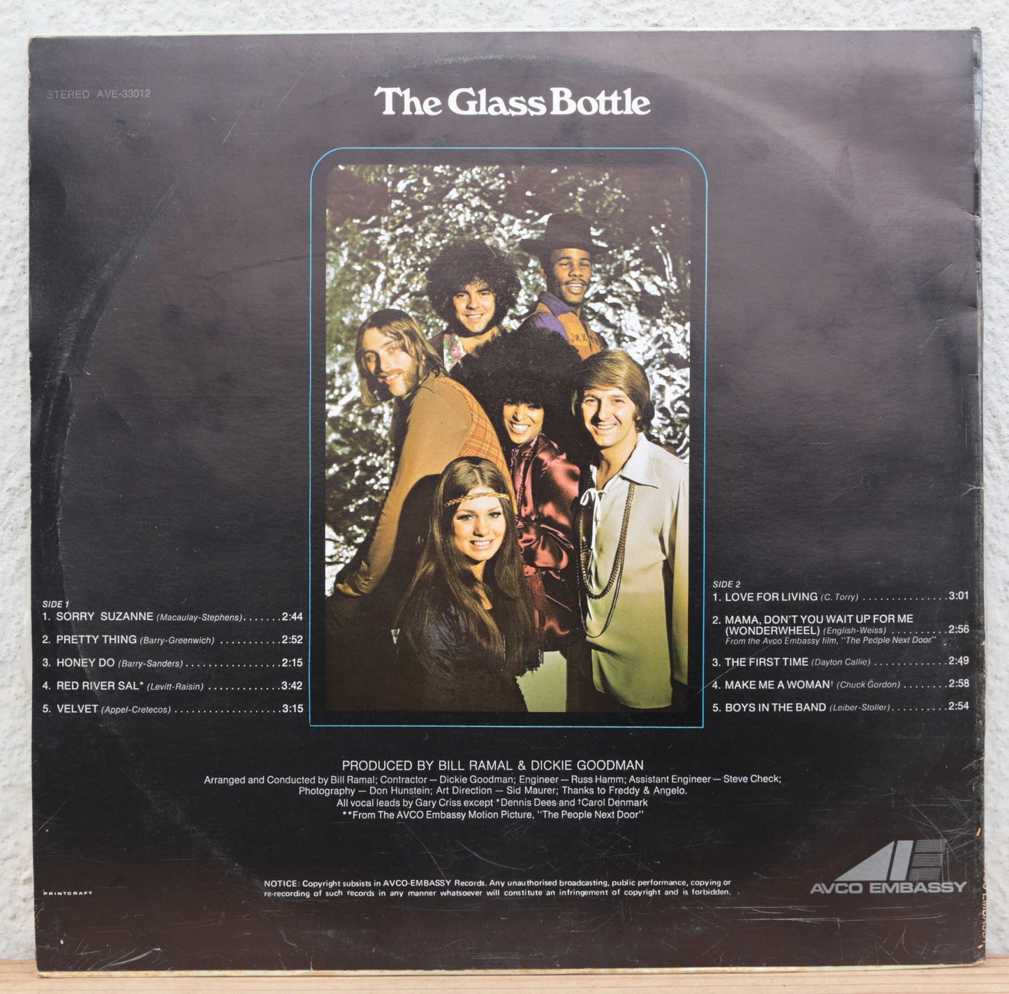 The Glass Bottle - The glass Bottle