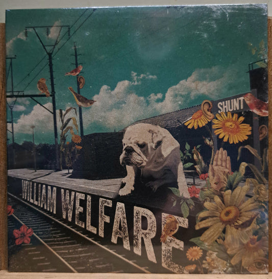 William Welfare - Shunt (cd, new/sealed)