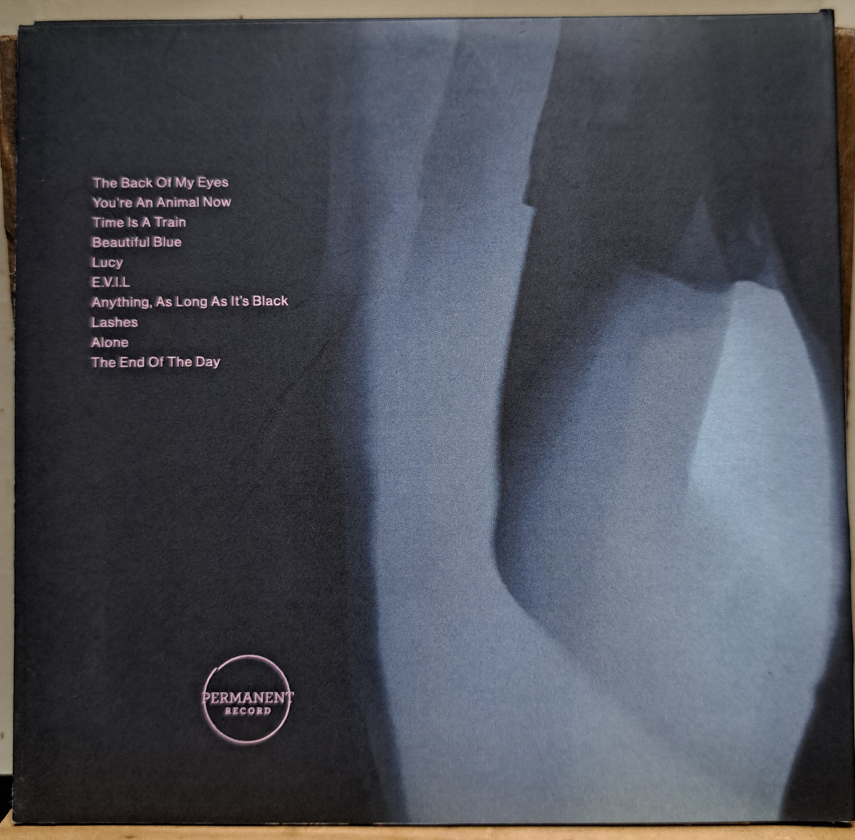 Medicine Boy - Kinda like Electricity (cd)