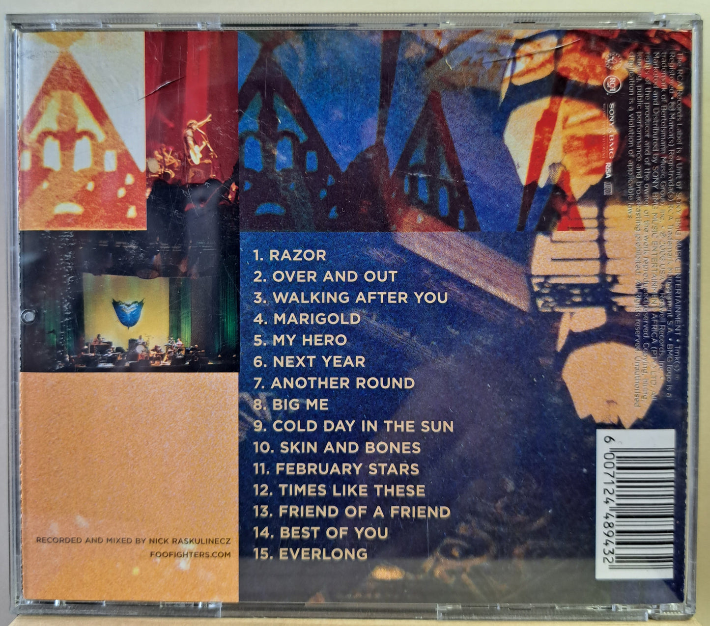 Foo Fighters - Skin and Bones (cd)