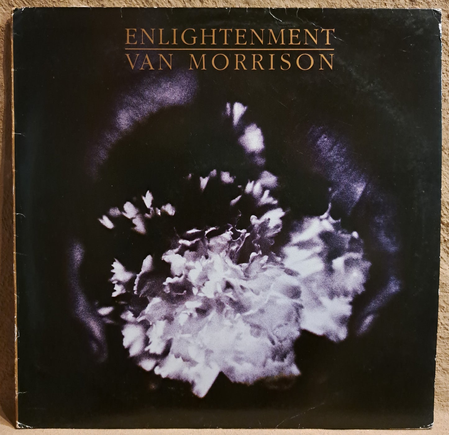 Van Morrison - Enlightment