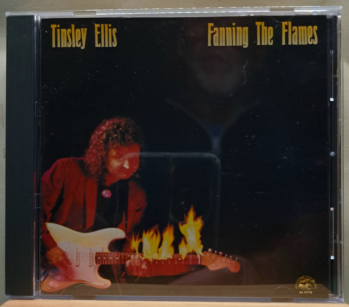 Tinsley Ellis - Fanning the flames(cd)
