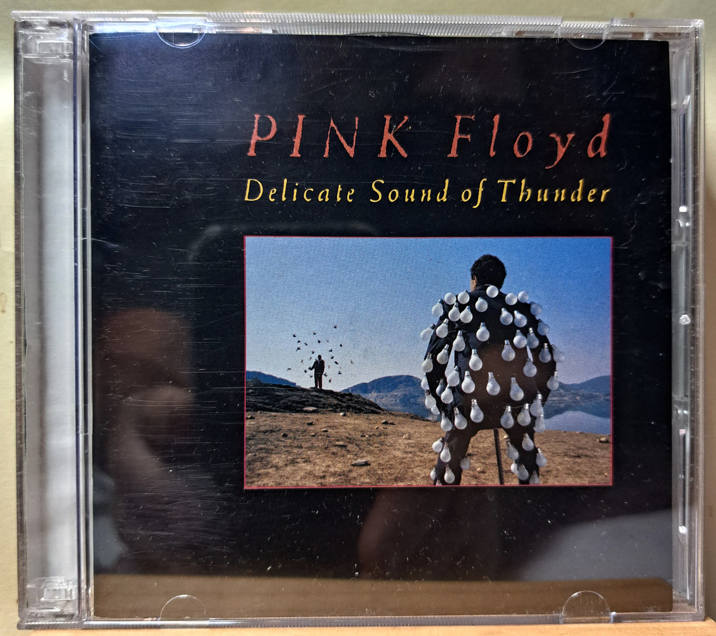 Pink Floyd - Delicate sound of thunder (double cd)