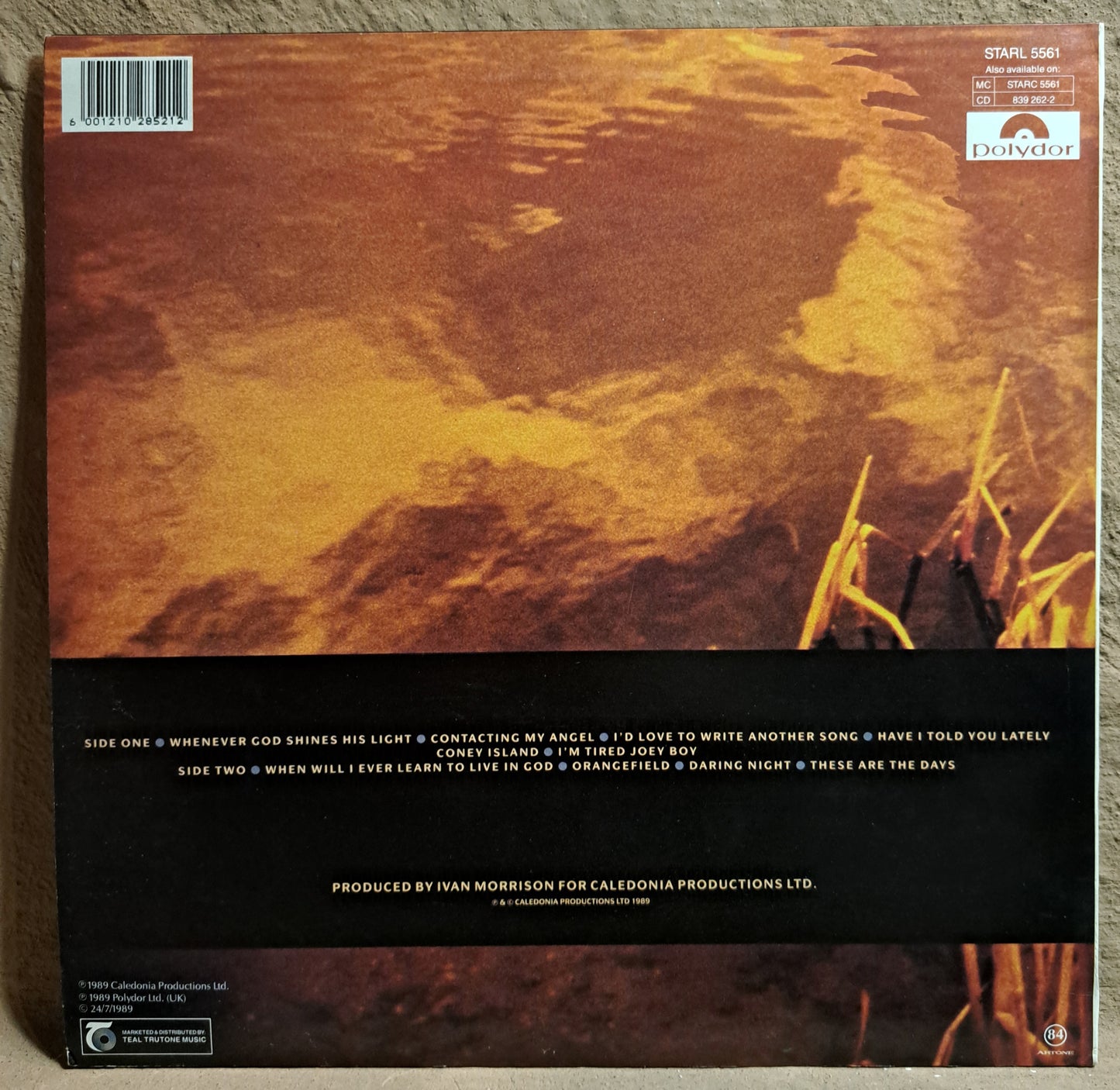 Van Morrison - Avalon Sunset
