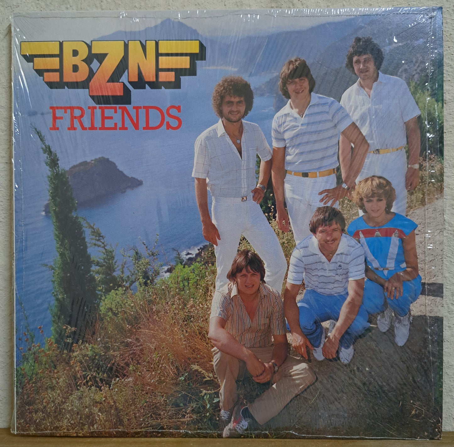 BZN - Friends