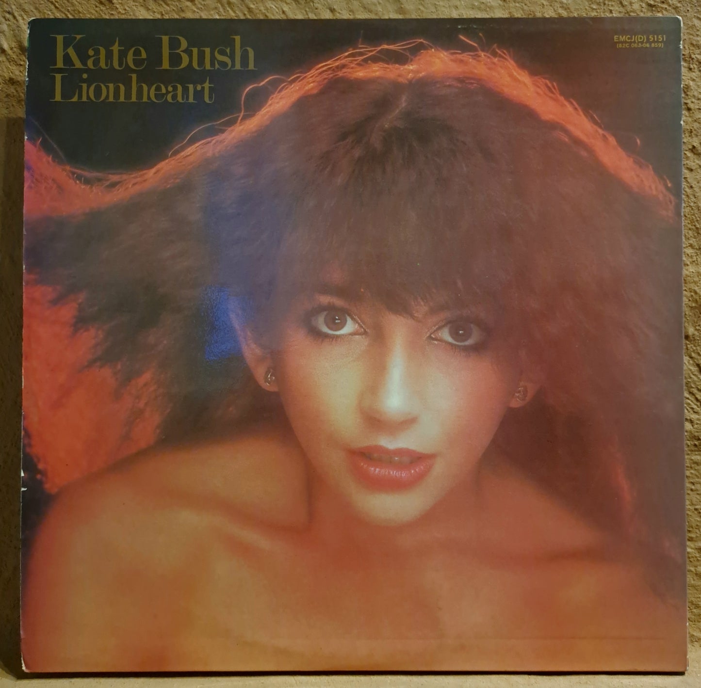 Kate Bush - Lionheart
