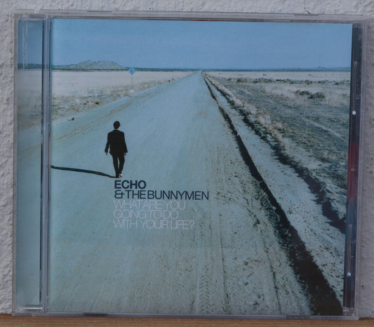 Echo & The Bunnymen - What are you going to do with your life?