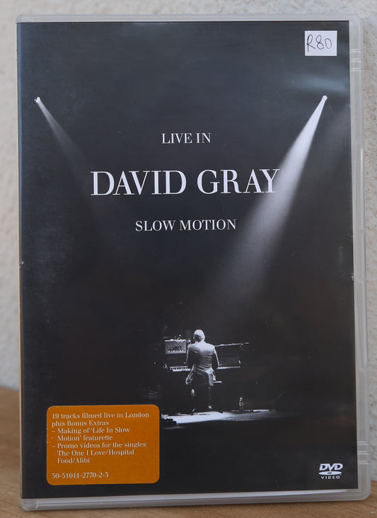 David Gray - Live in Slow Motion (dvd)